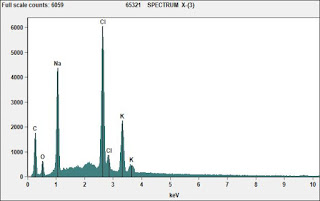 2012-04-fingerprint-analysis-via-sem2.jpg