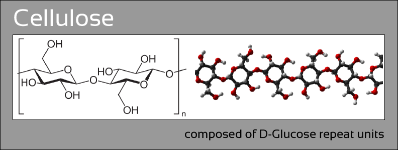 Cellulose.png