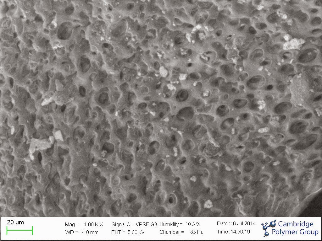 2014-08-variable-pressure-scanning-electron.jpg