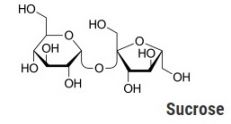 sucrose2.jpg