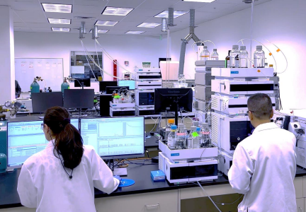 Performance & Quality Testing