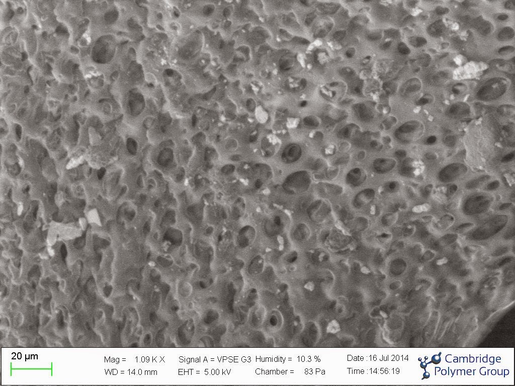 Variable Pressure Scanning Electron Microscopy