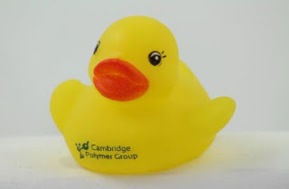 Are there Plasticizers in My Duck? Are there Plasticizers in My Duck?