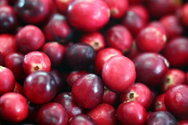 Cranberry Polymers