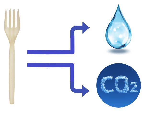 Degradation Product Analysis