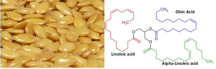 Fatty Acid and Triglyceride Analysis: Linseed Oil
