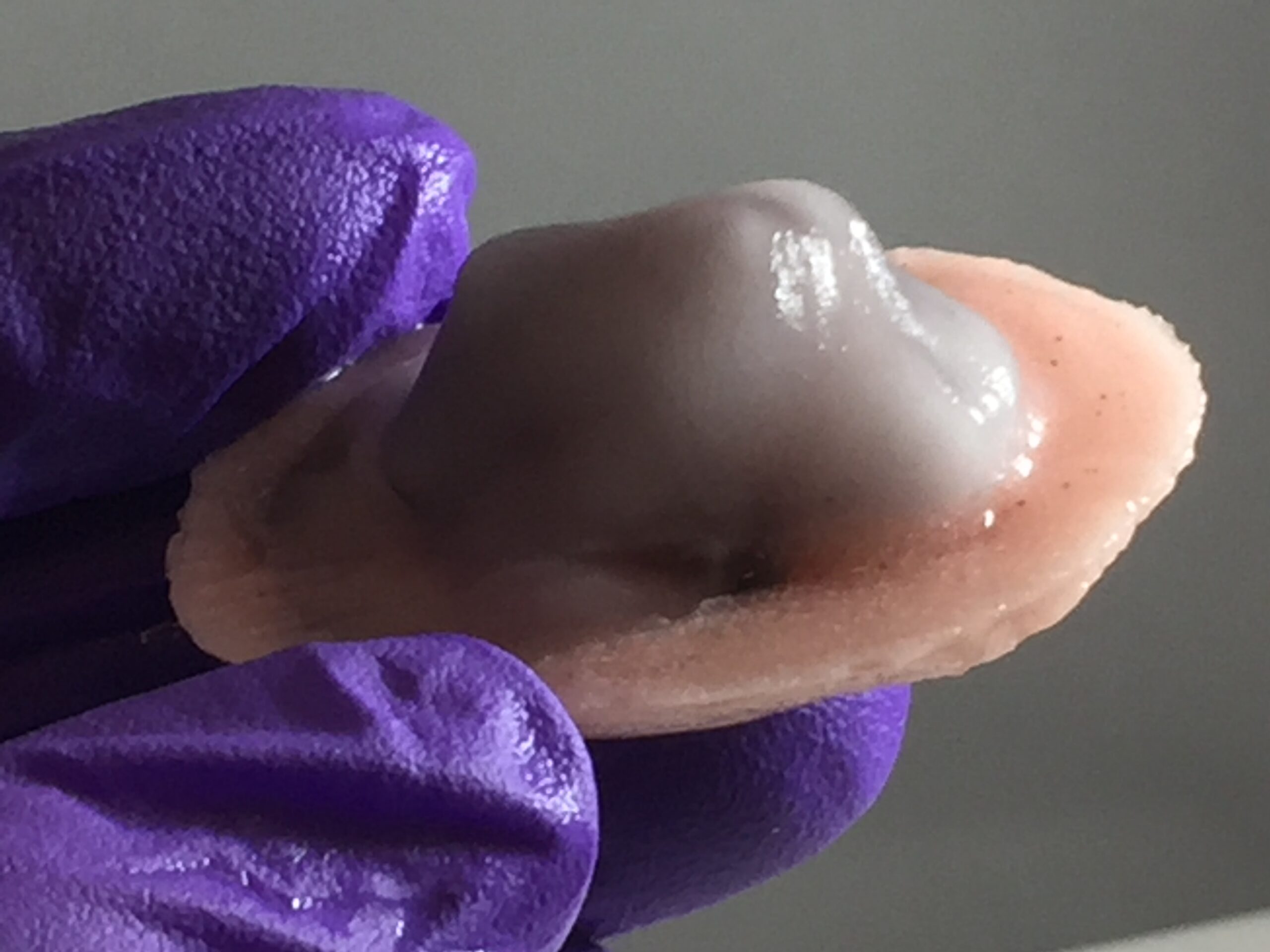 Synthetic Tissue Models for Medical Device Development