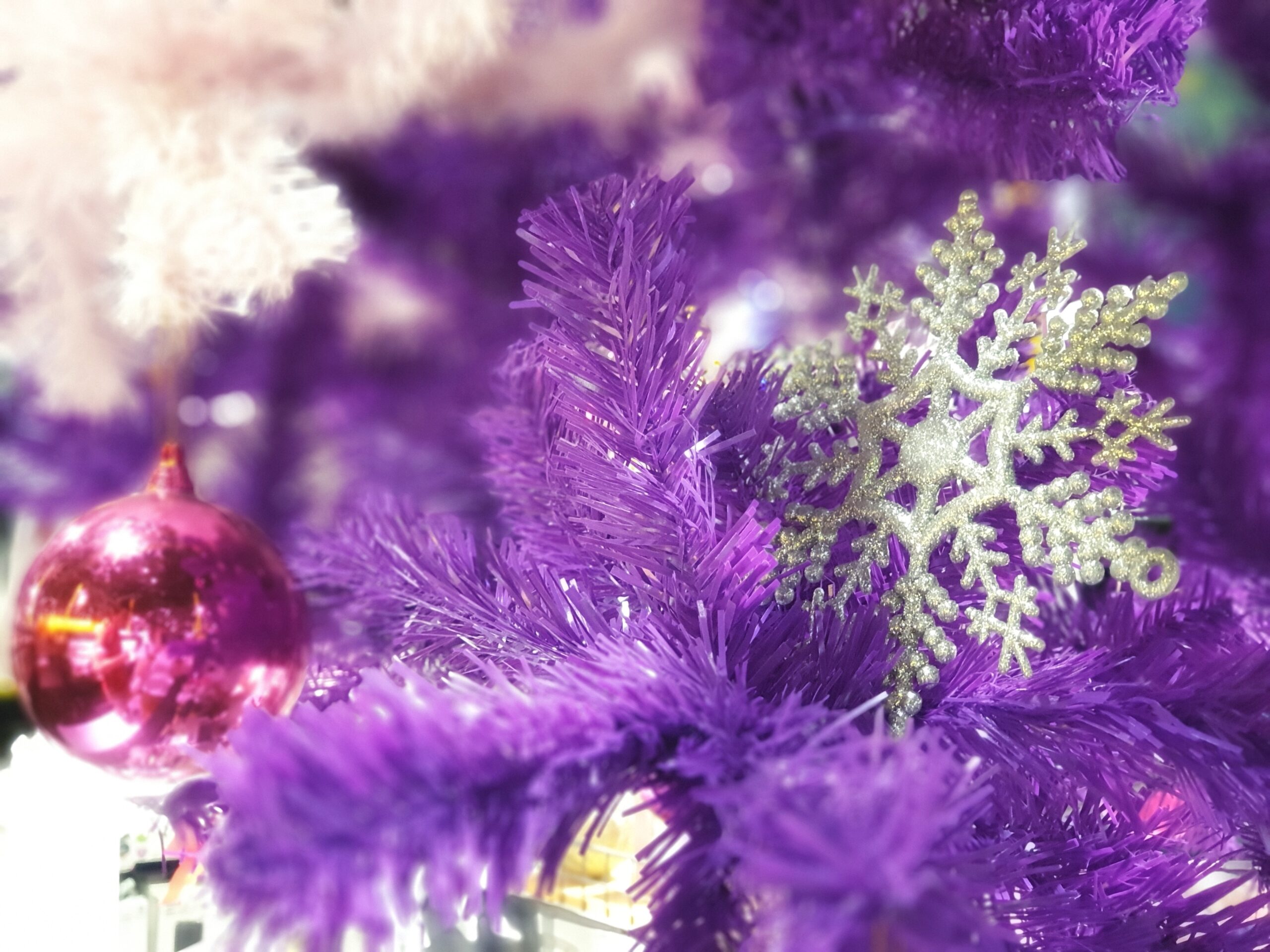 From Pine to Renewable Plastic From Pine to Renewable Plastic