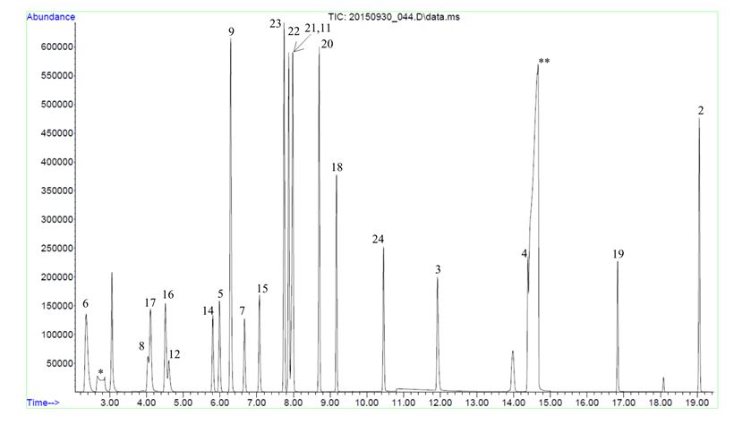 Total Ion Chromatogram
