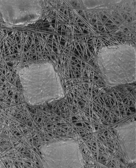 Morphology and fractography