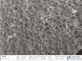 CPG Acquires Variable Pressure SEM