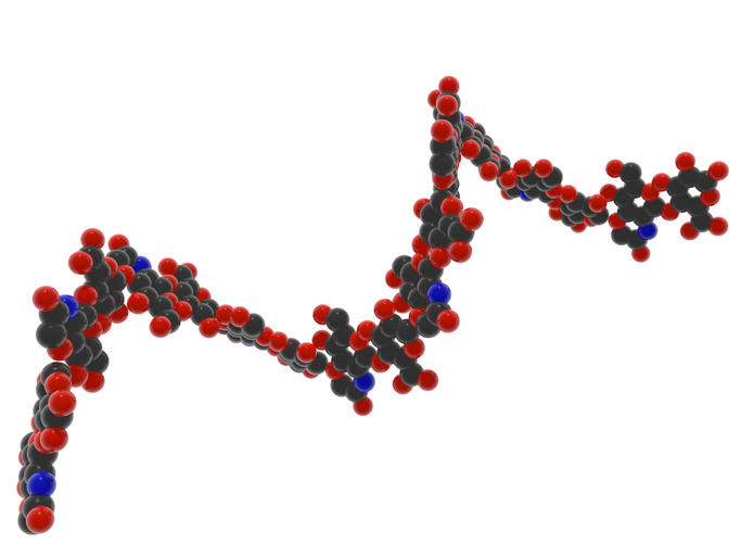 Hyaluronic Acid Characterization