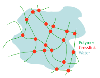 Soft Solids: Hydrogels, Organogels and Elastomers