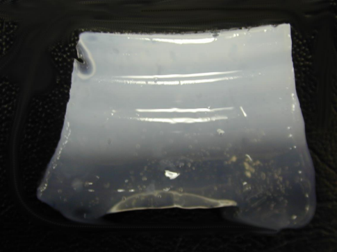 Soft Solids: Hydrogels, Organogels and Elastomers